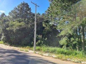 Terreno com 371m² no bairro Centro em Nova Santa Rita para Comprar