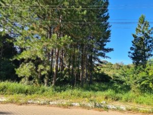 Terreno com 371m² no bairro Centro em Nova Santa Rita para Comprar