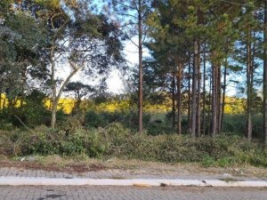 Terreno com 371m² no bairro Centro em Nova Santa Rita para Comprar